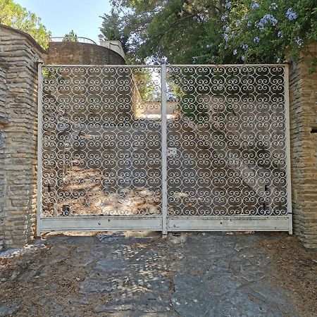 Lili Daire La Seyne-sur-Mer Dış mekan fotoğraf